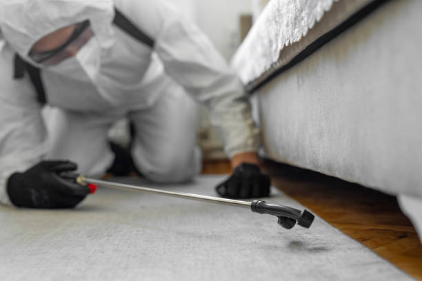 Professional Cockroach Control technician working in Lewisville, WA