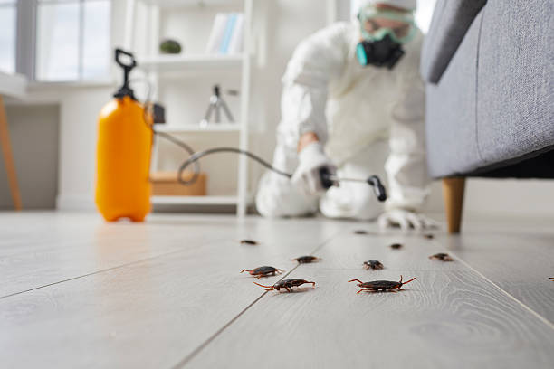 Trusted Cockroach Control service in Lewisville, WA - Nex Pest Control