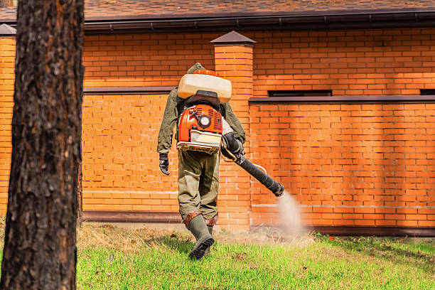 Trusted Mosquito Control service in Lewisville, WA - Nex Pest Control